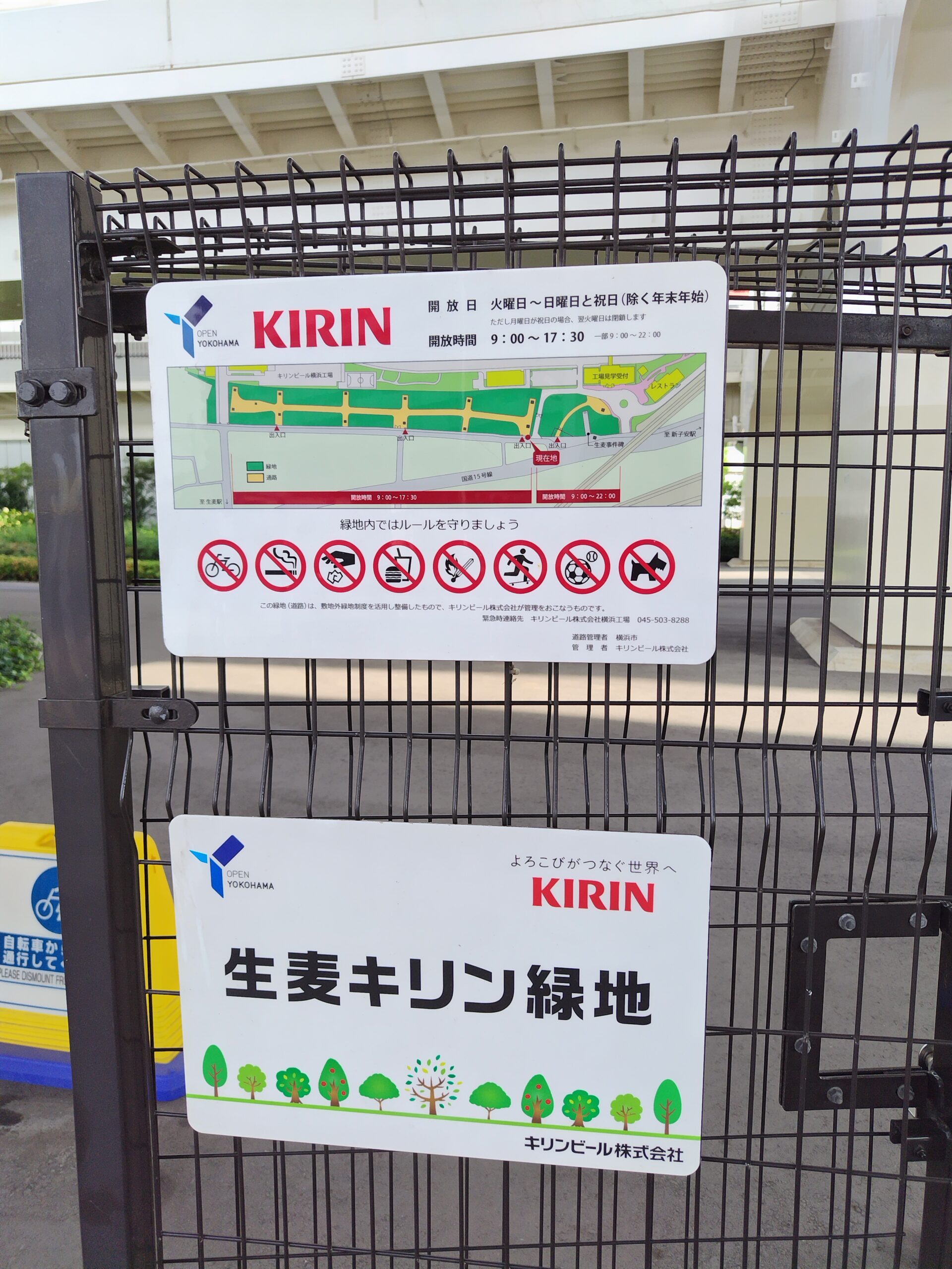 生麦キリン緑地