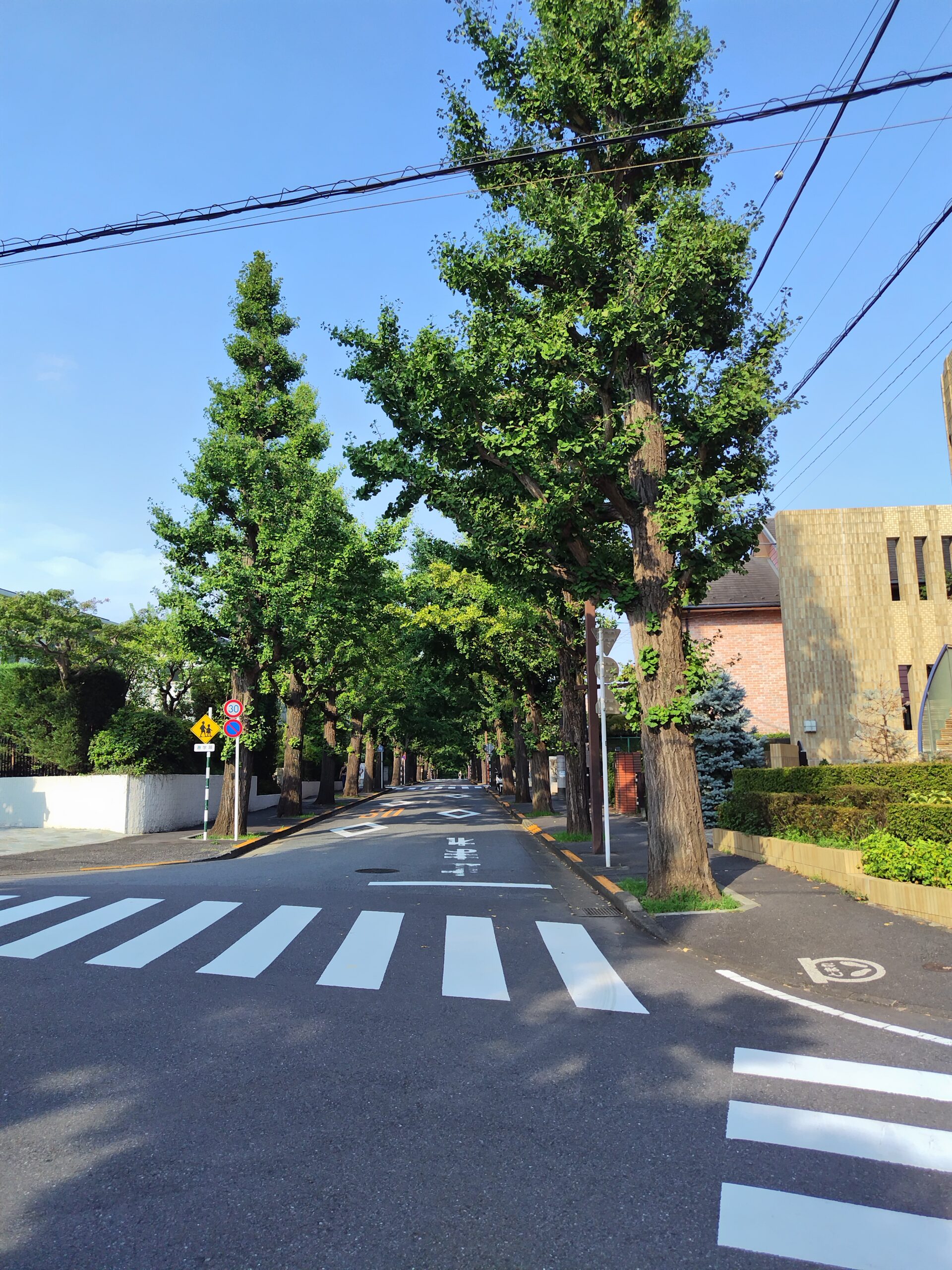 田園調布の高級住宅街