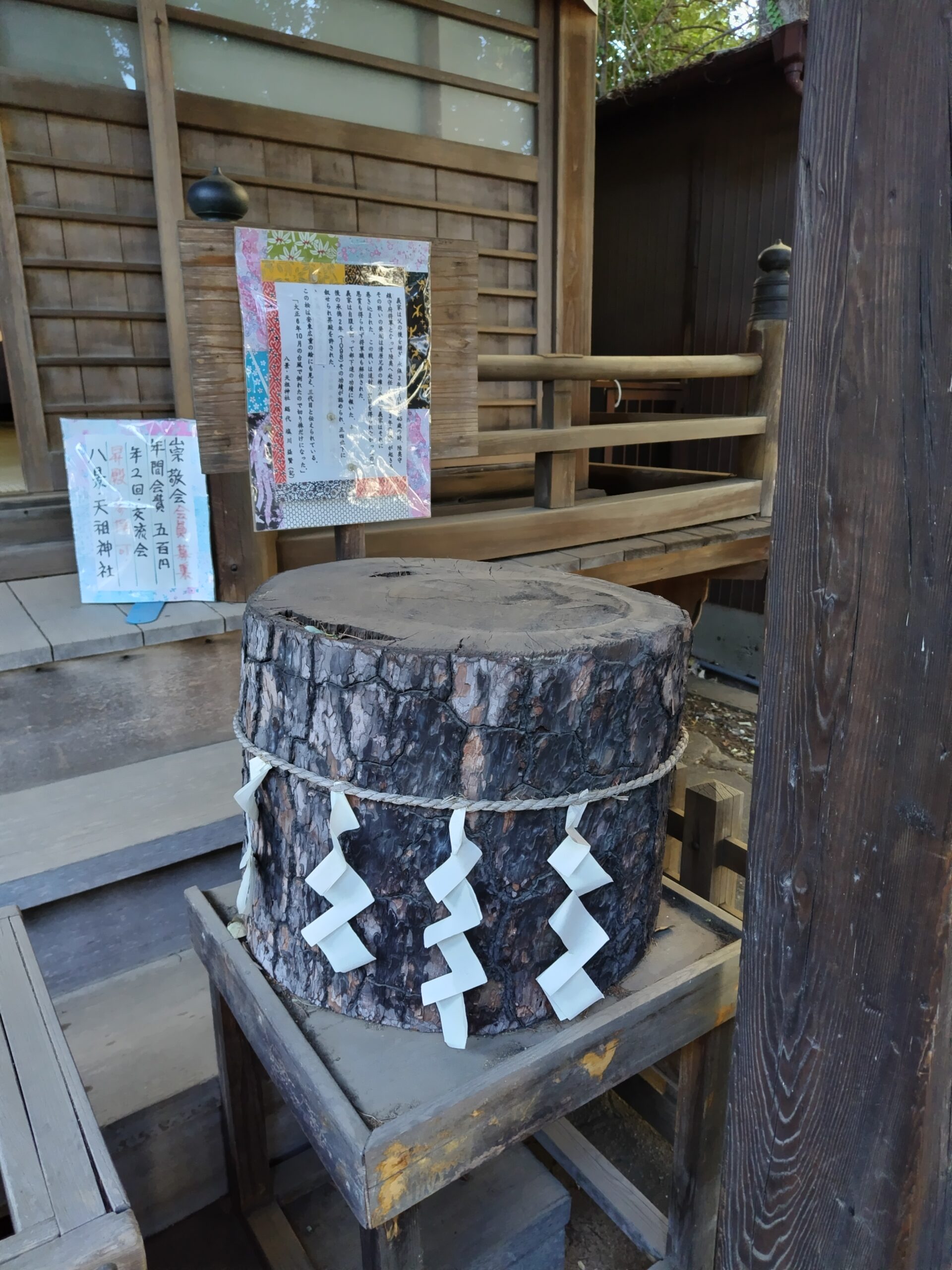 天祖神社　鎧掛松