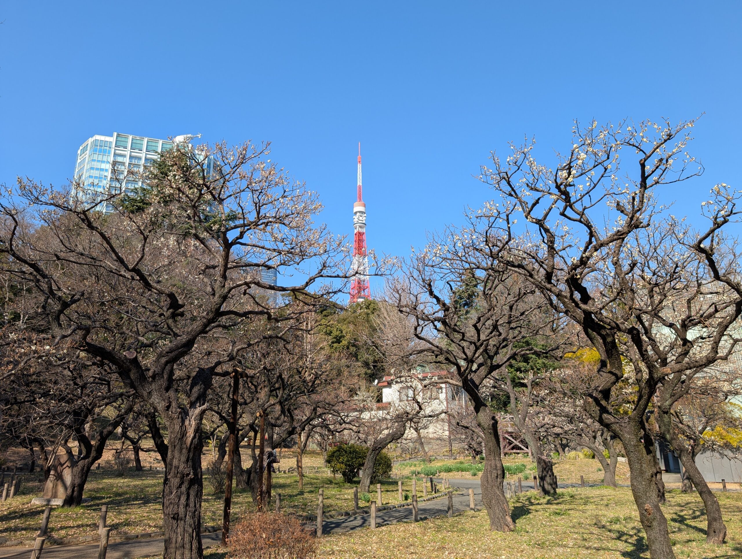 街歩き案内所