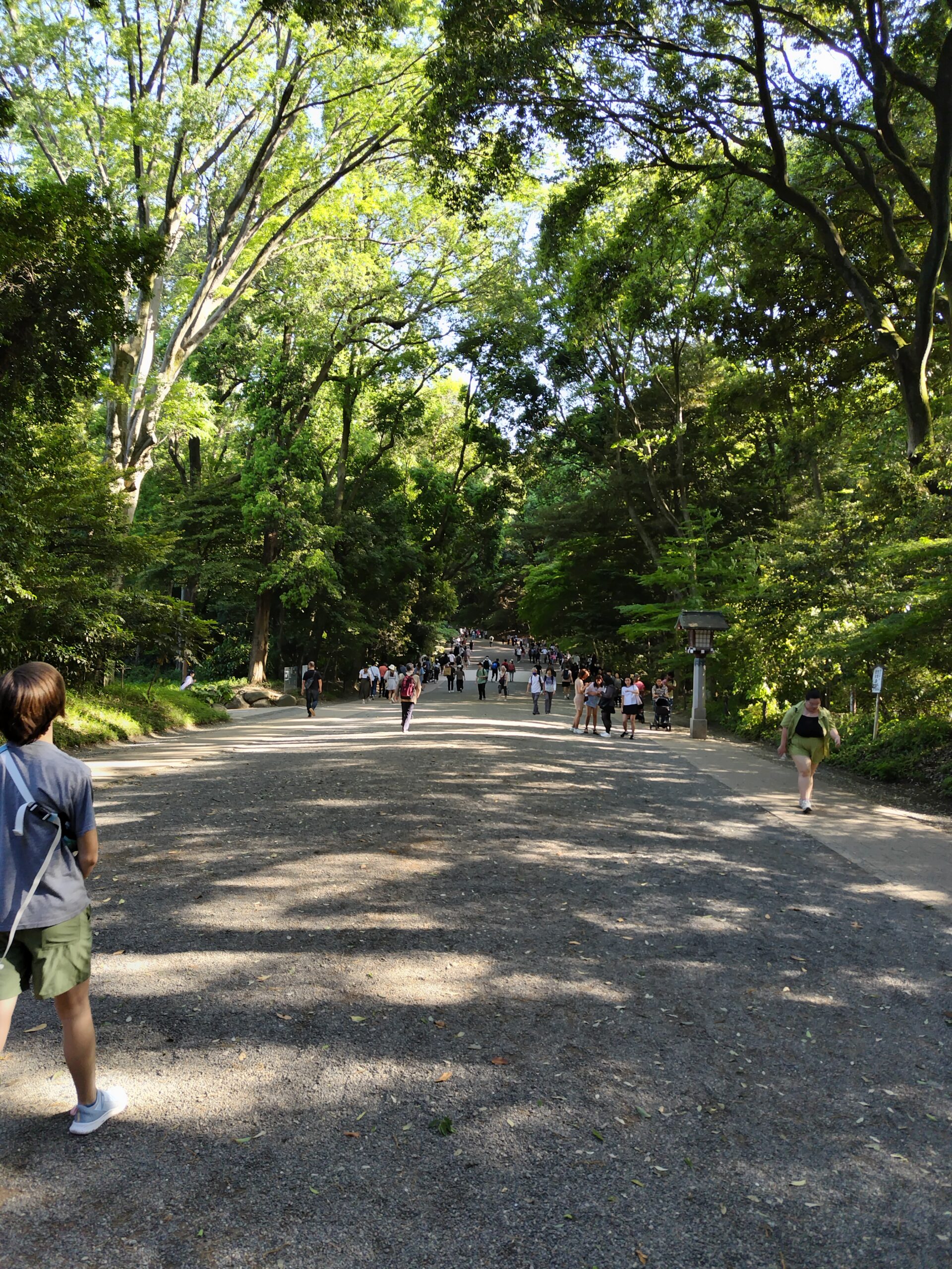 明治神宮　参道