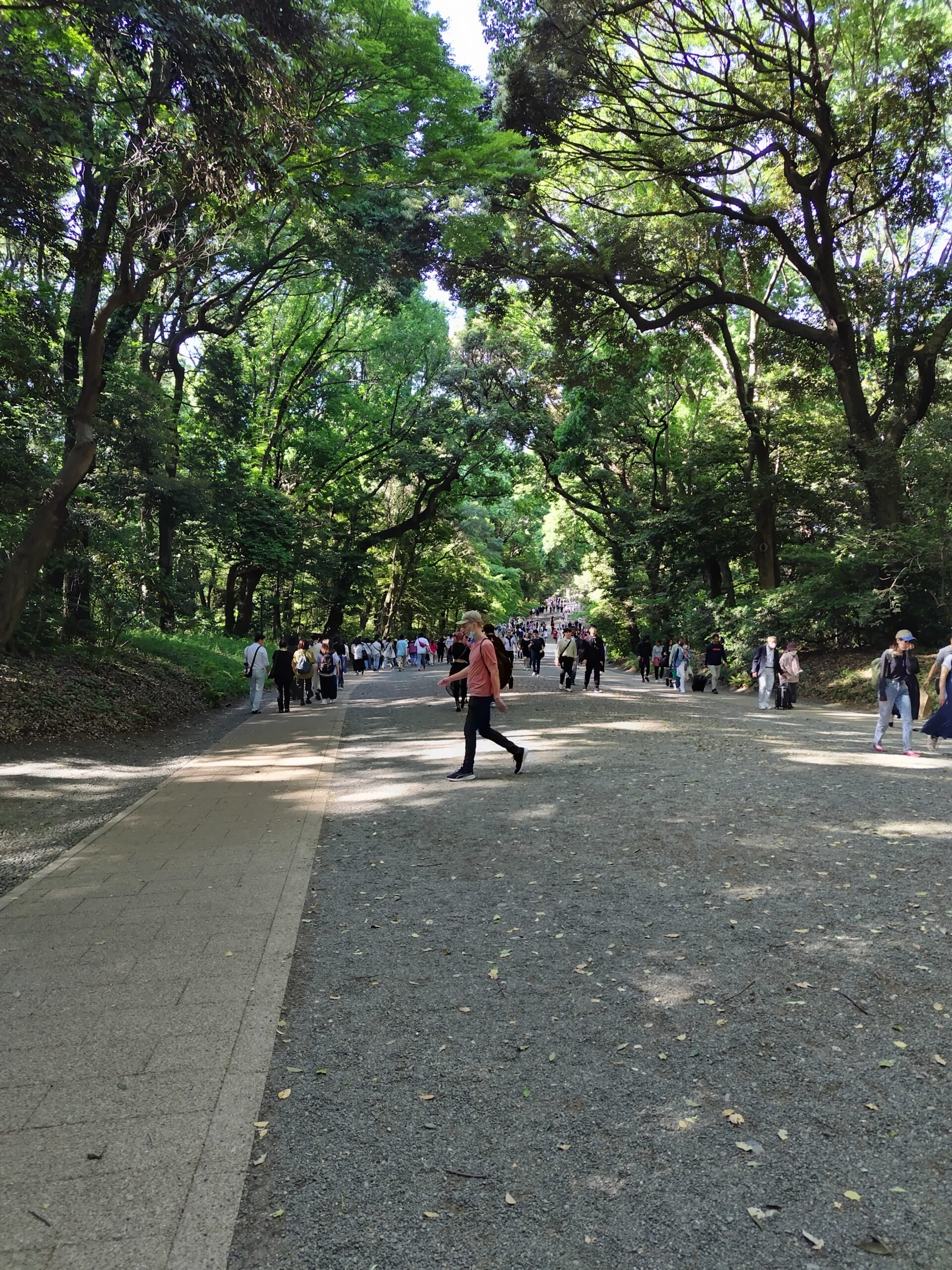 明治神宮の参道