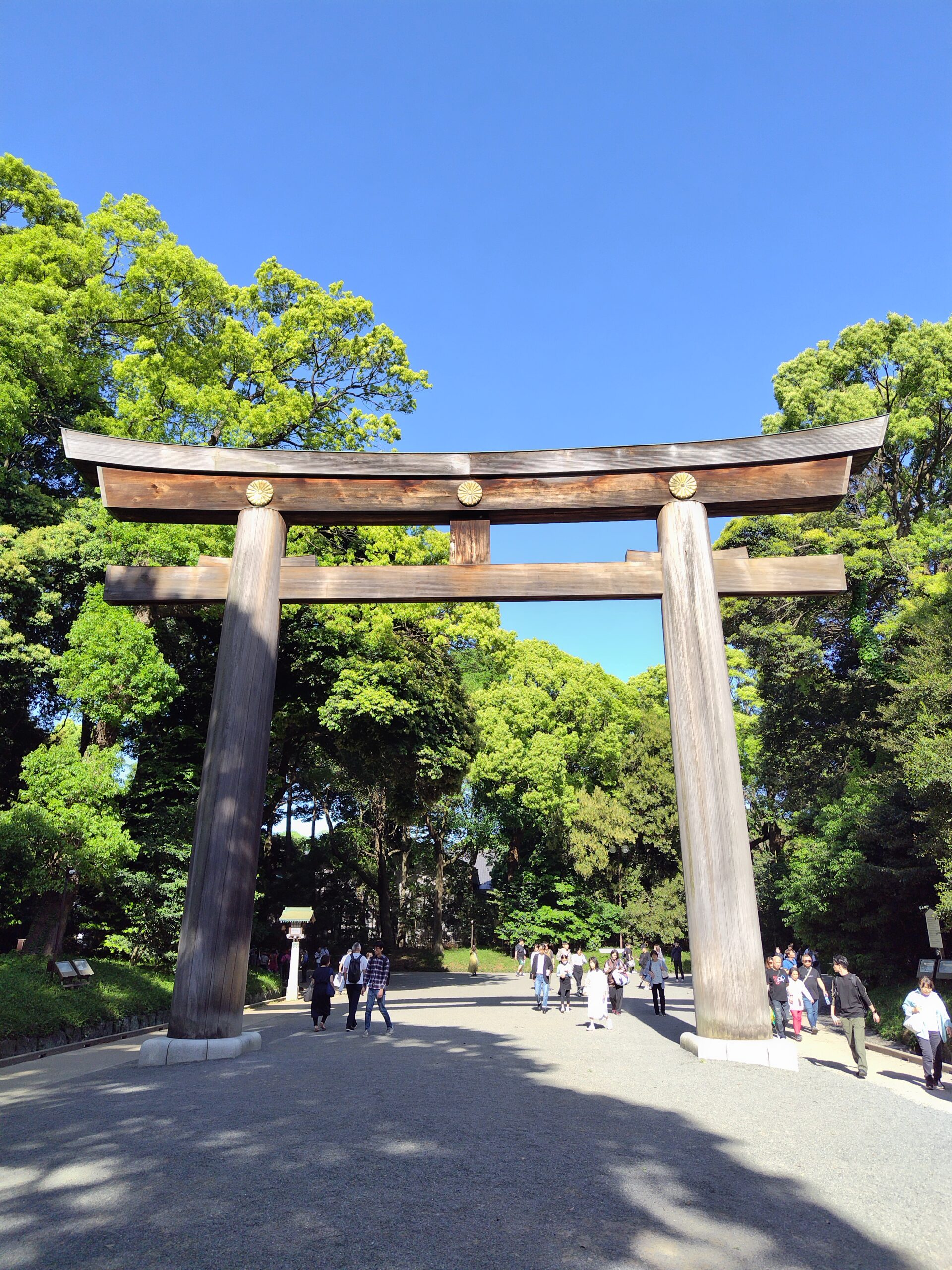 明治神宮　大鳥居