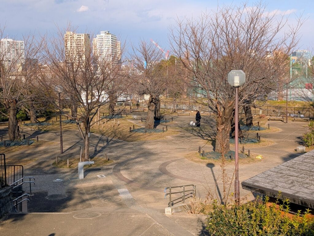 幸ヶ谷公園
権現山城跡