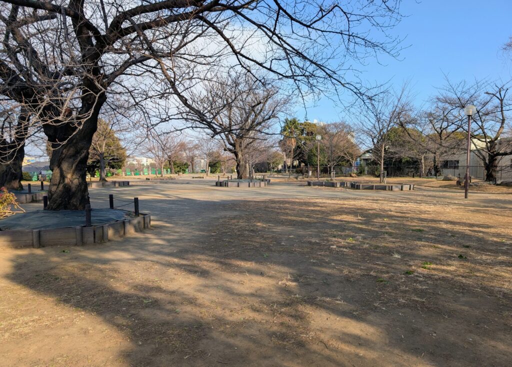 権現山城跡