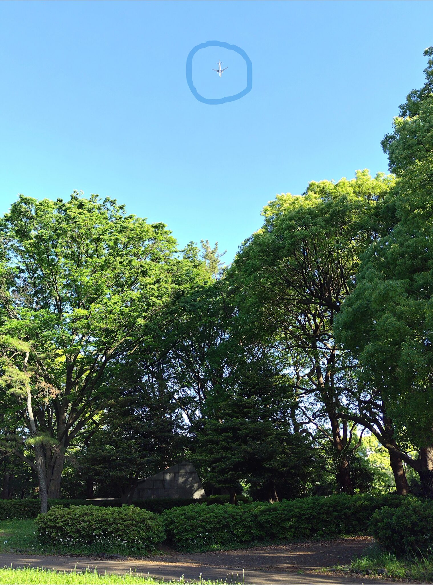 代々木公園　飛行機