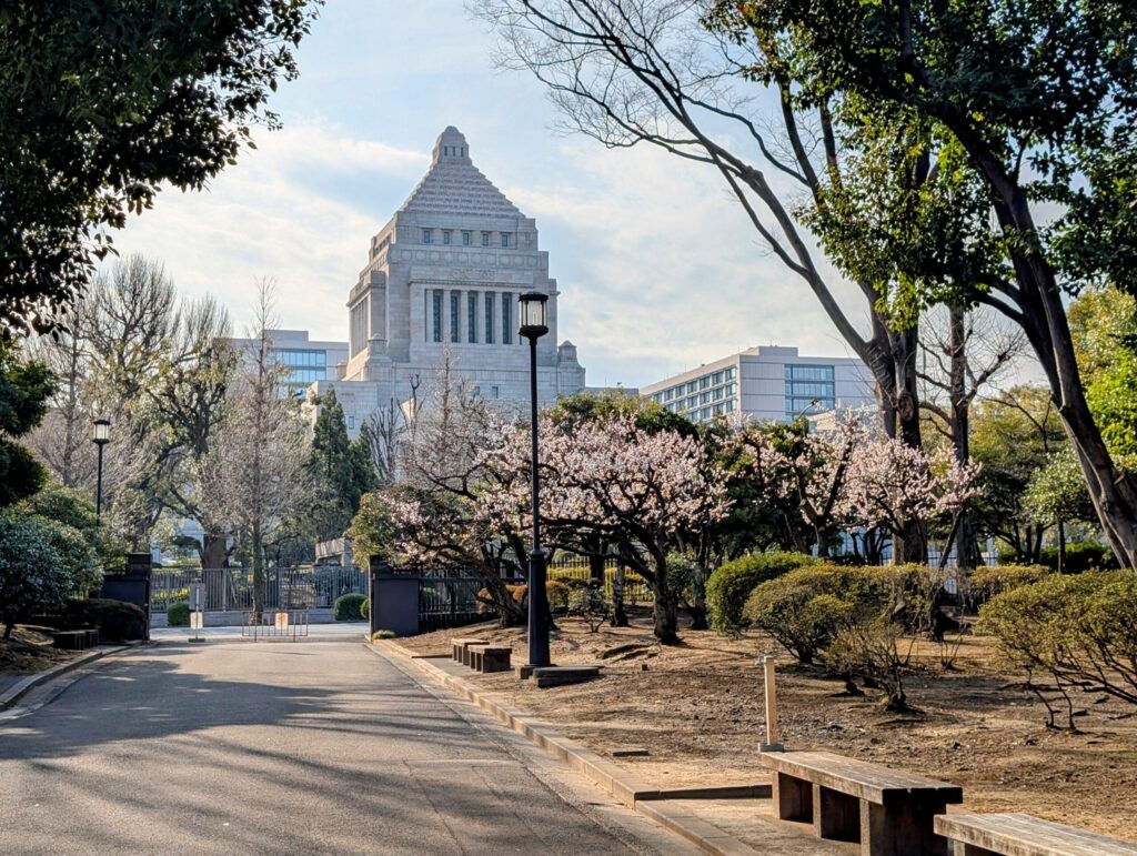 国会前庭 南地区 梅