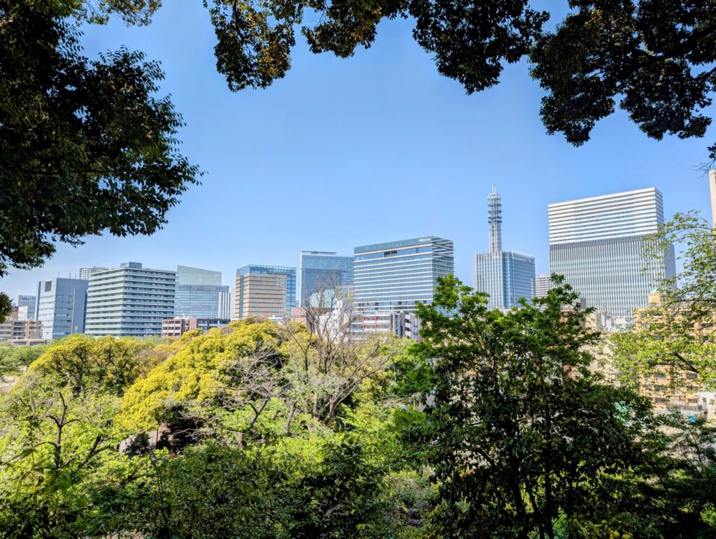 掃部山公園