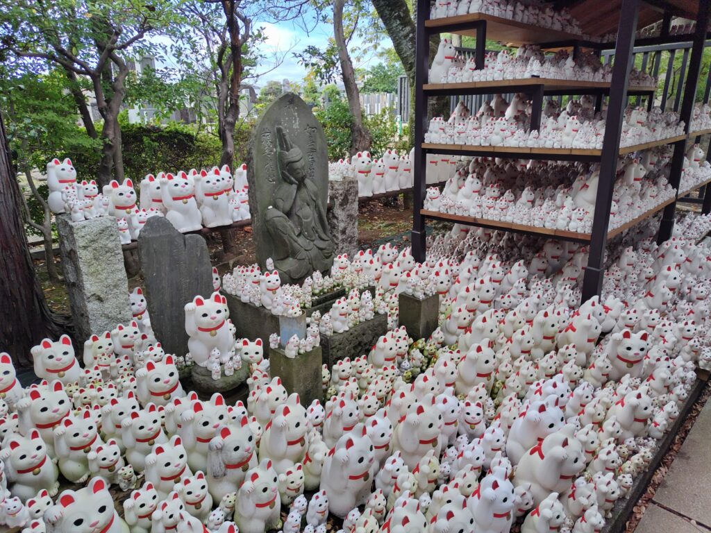 豪徳寺の招福殿の周りの招き猫