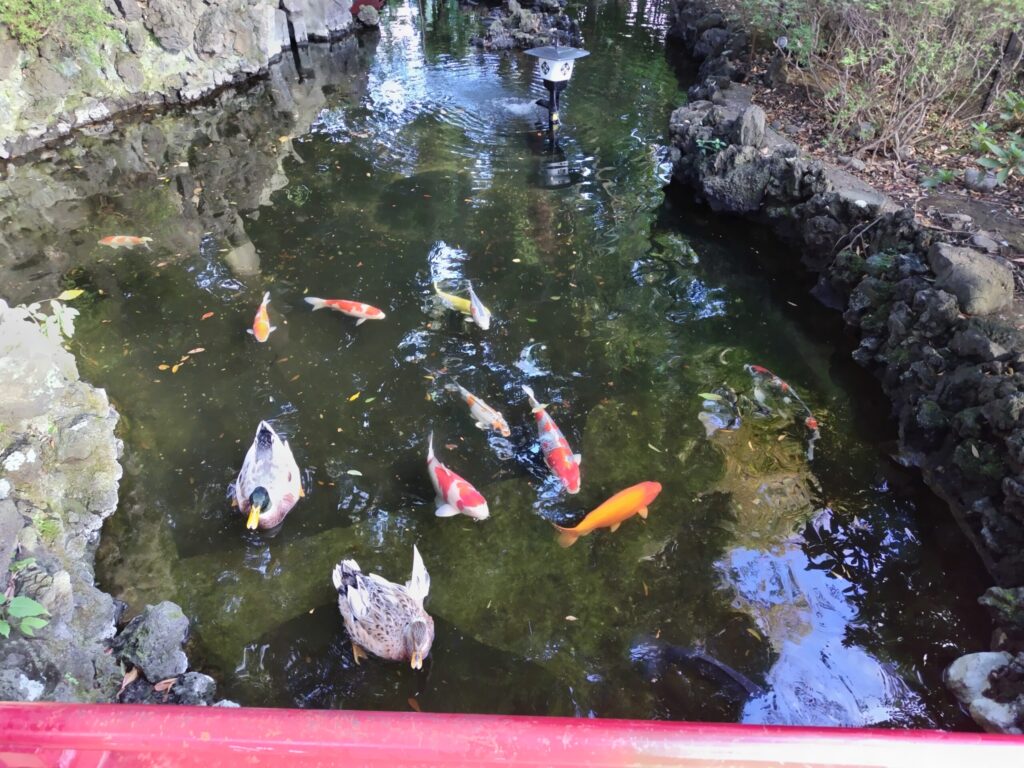 世田谷八幡宮の弁天池