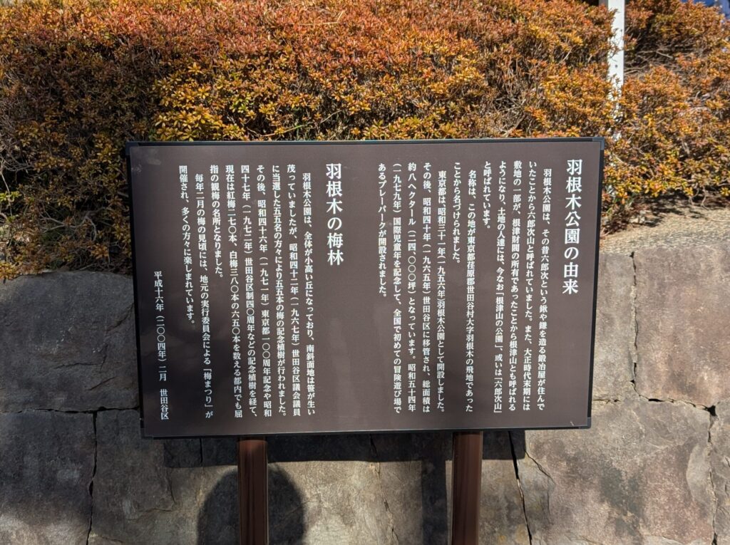 羽根木公園の由来
羽根木の梅林案内板