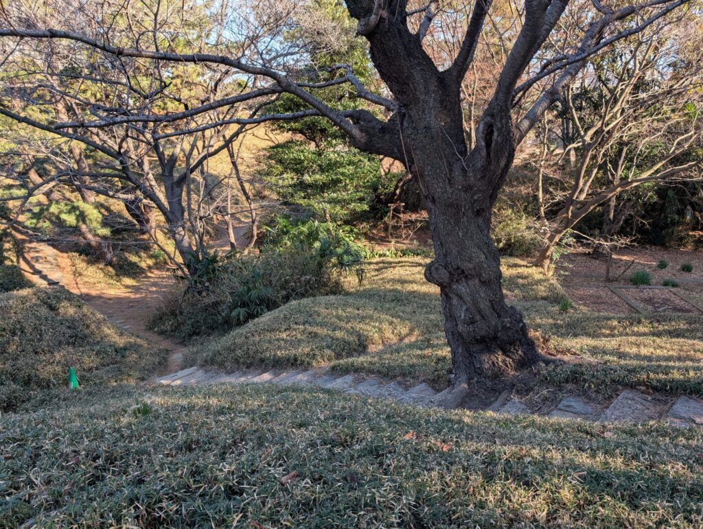 台場公園（第三台場）