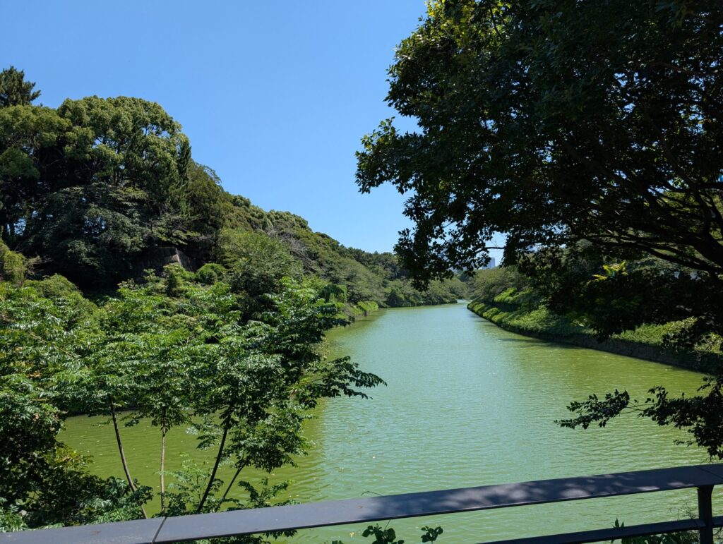 九段坂公園から望む千鳥ヶ淵