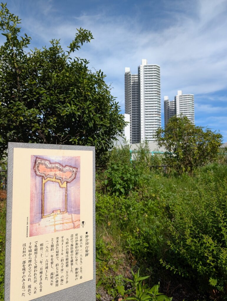 神奈川台場公園から望む横浜コットンバーバーの高層マンション群