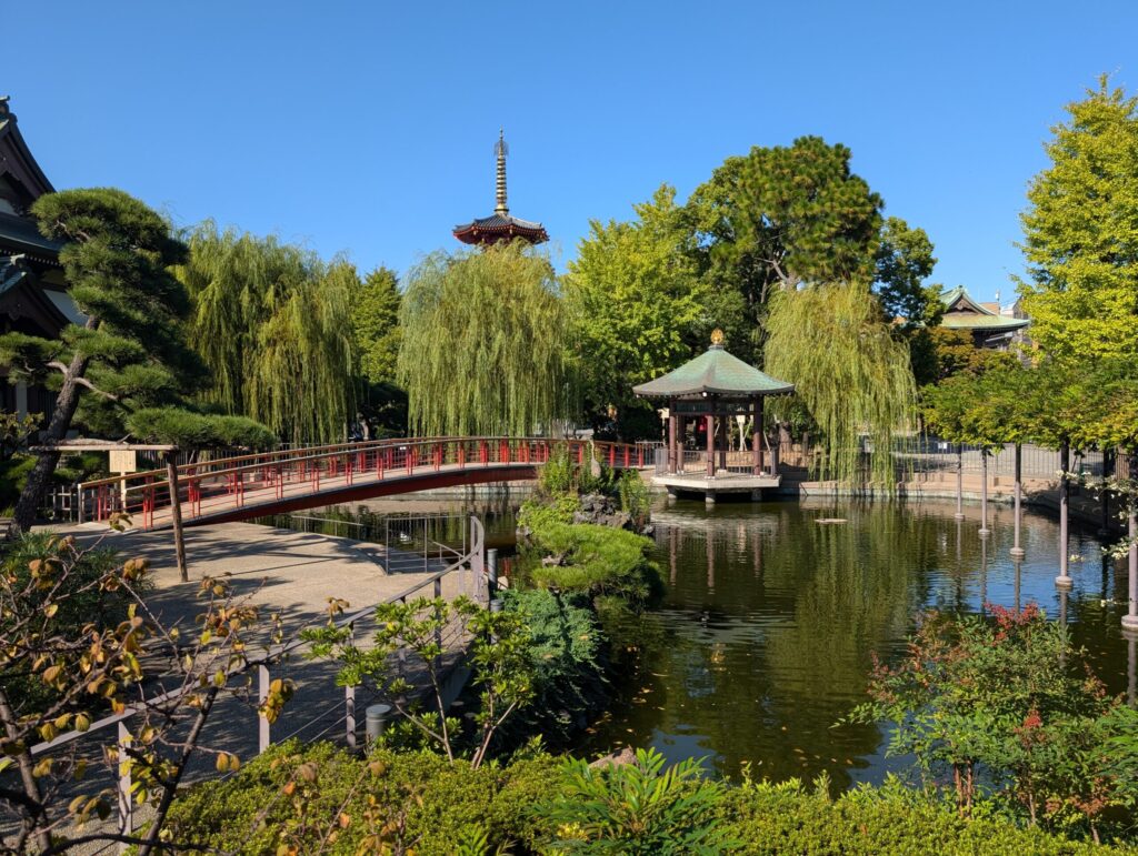 川崎大師のつるの池