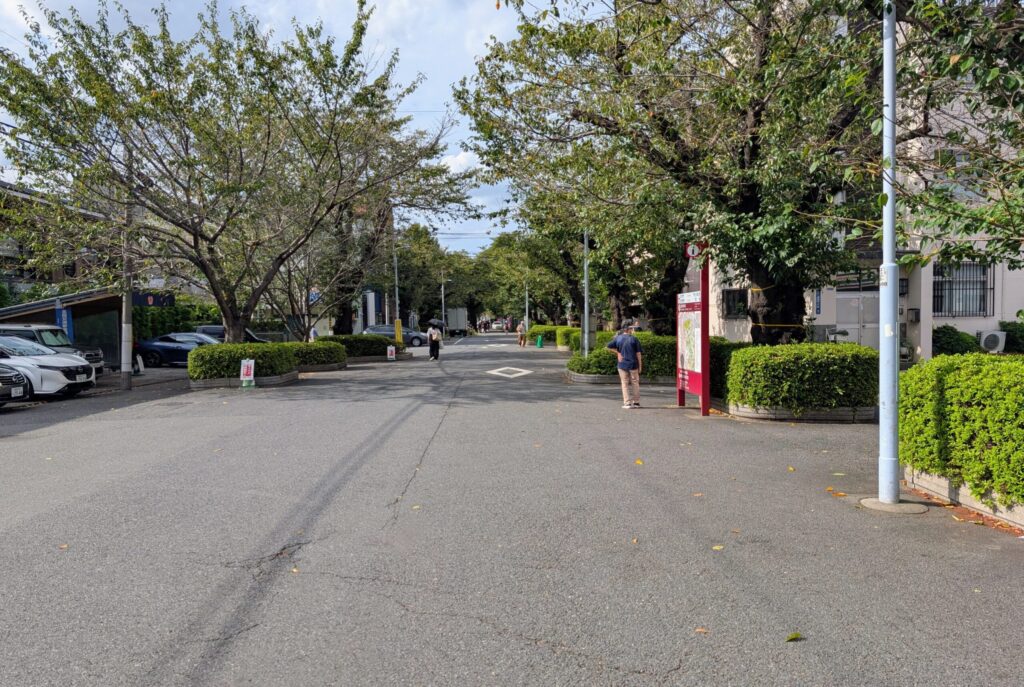 谷中霊園