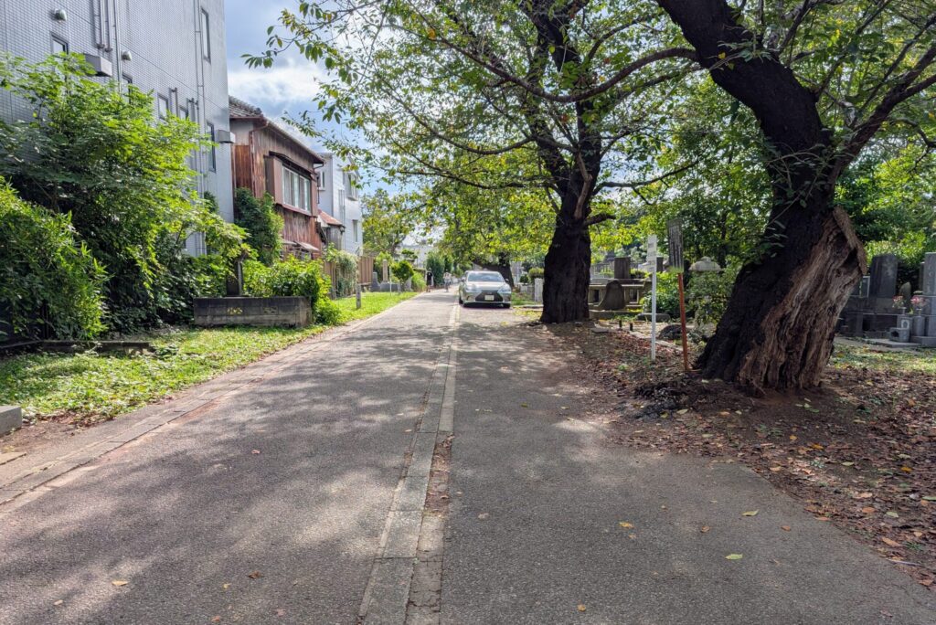 谷中霊園