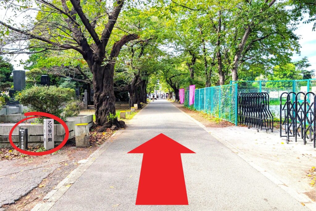 谷中霊園