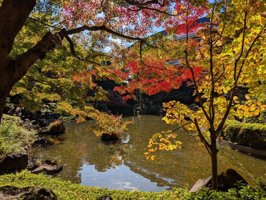 横浜公園の彼我庭園
池泉回遊式庭園
横浜スタジアムライトスタンド