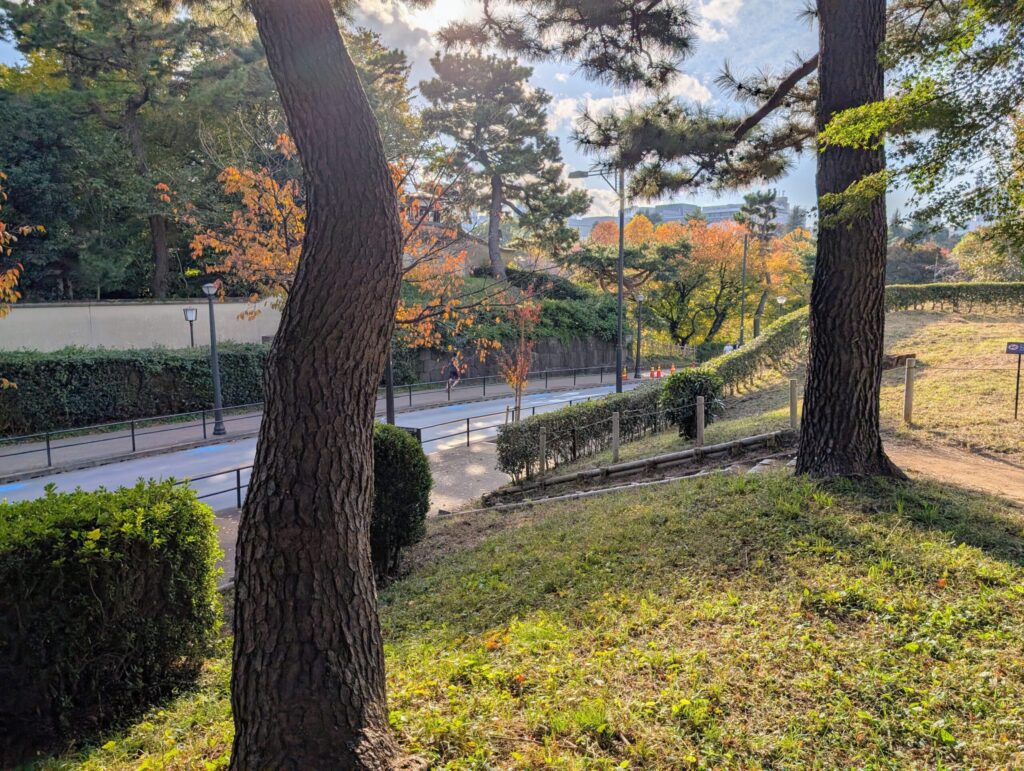 千鳥ヶ淵さんぽみち