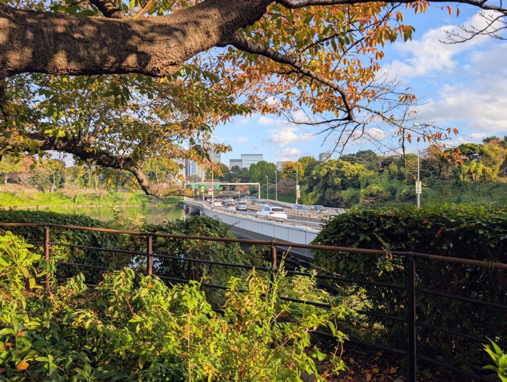 千鳥ヶ淵さんぽみち
千鳥ヶ淵緑道