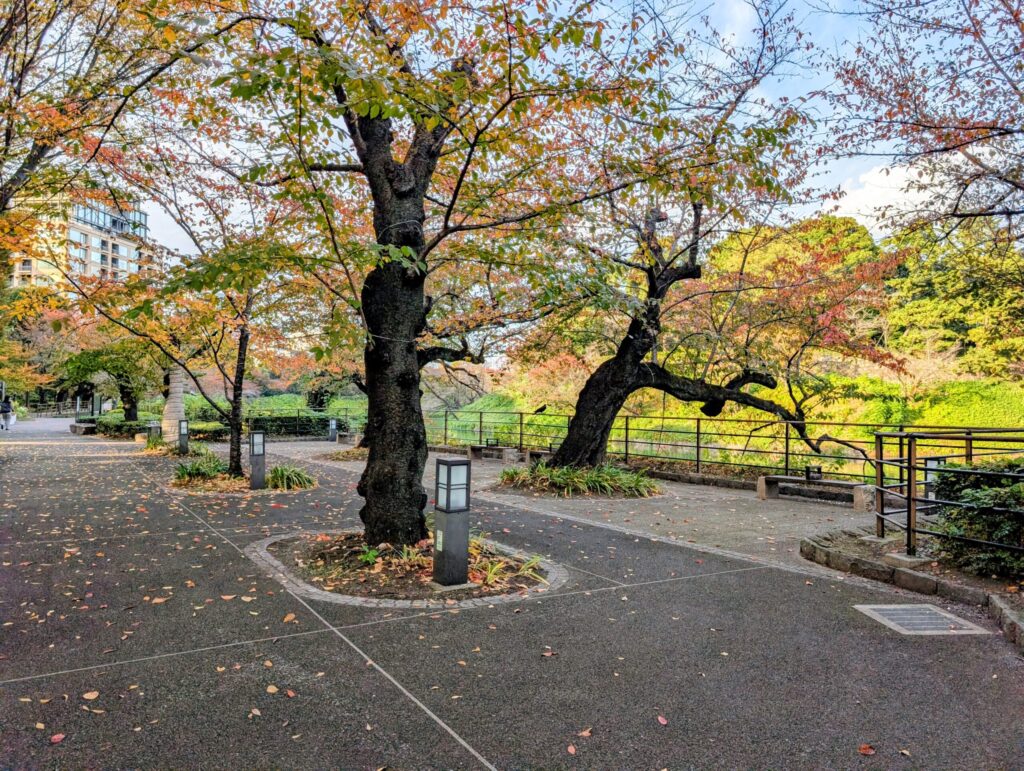 千鳥ヶ淵さんぽみち
千鳥ヶ淵緑道