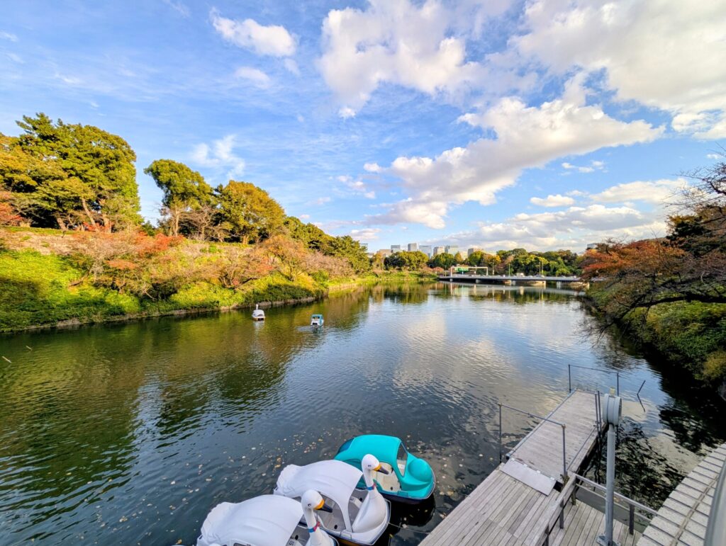 千鳥ヶ淵さんぽみち
千鳥ヶ淵緑道
千鳥ヶ淵ボート場