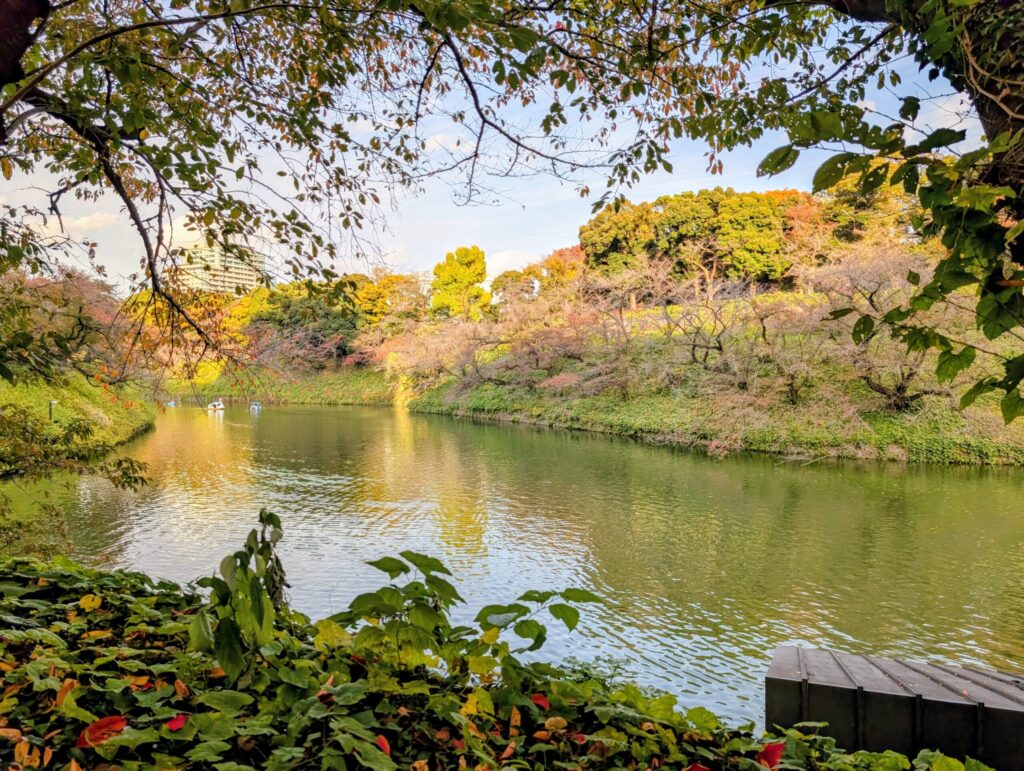 千鳥ヶ淵さんぽみち
千鳥ヶ淵緑道
千鳥ヶ淵ボート場