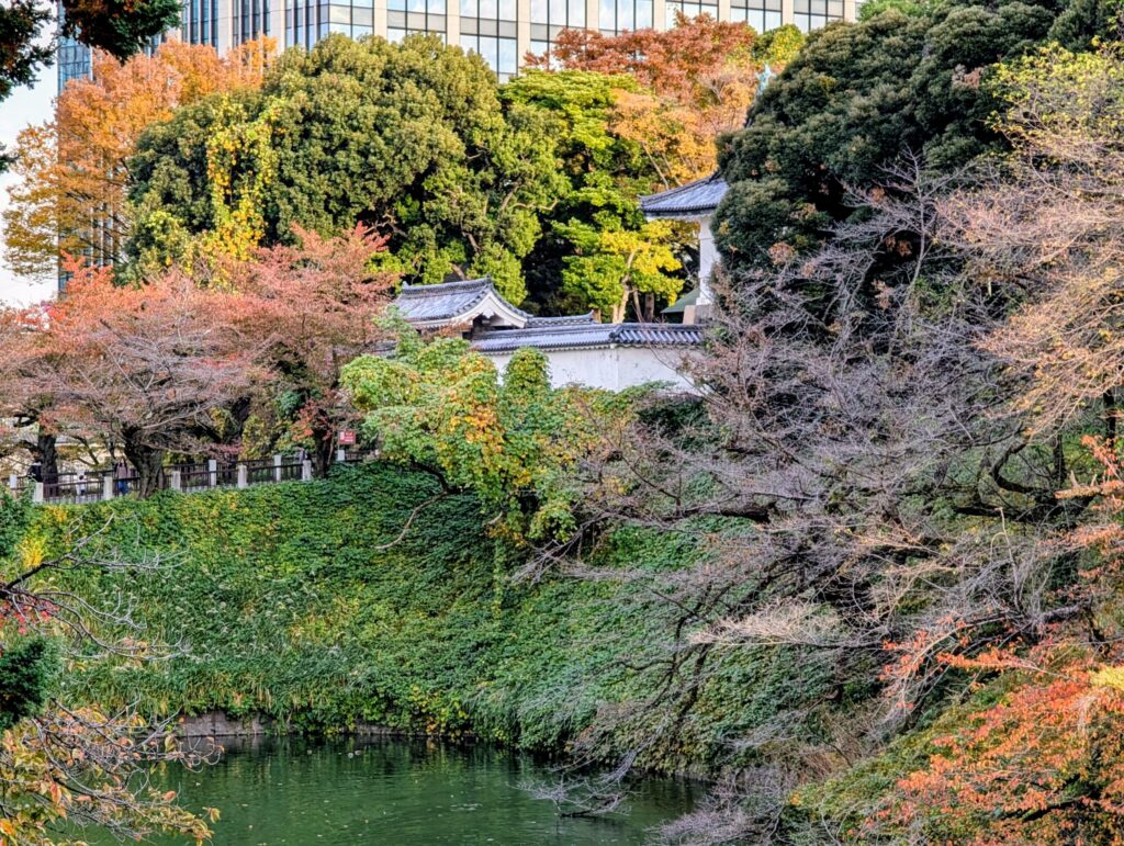 千鳥ヶ淵と田安門