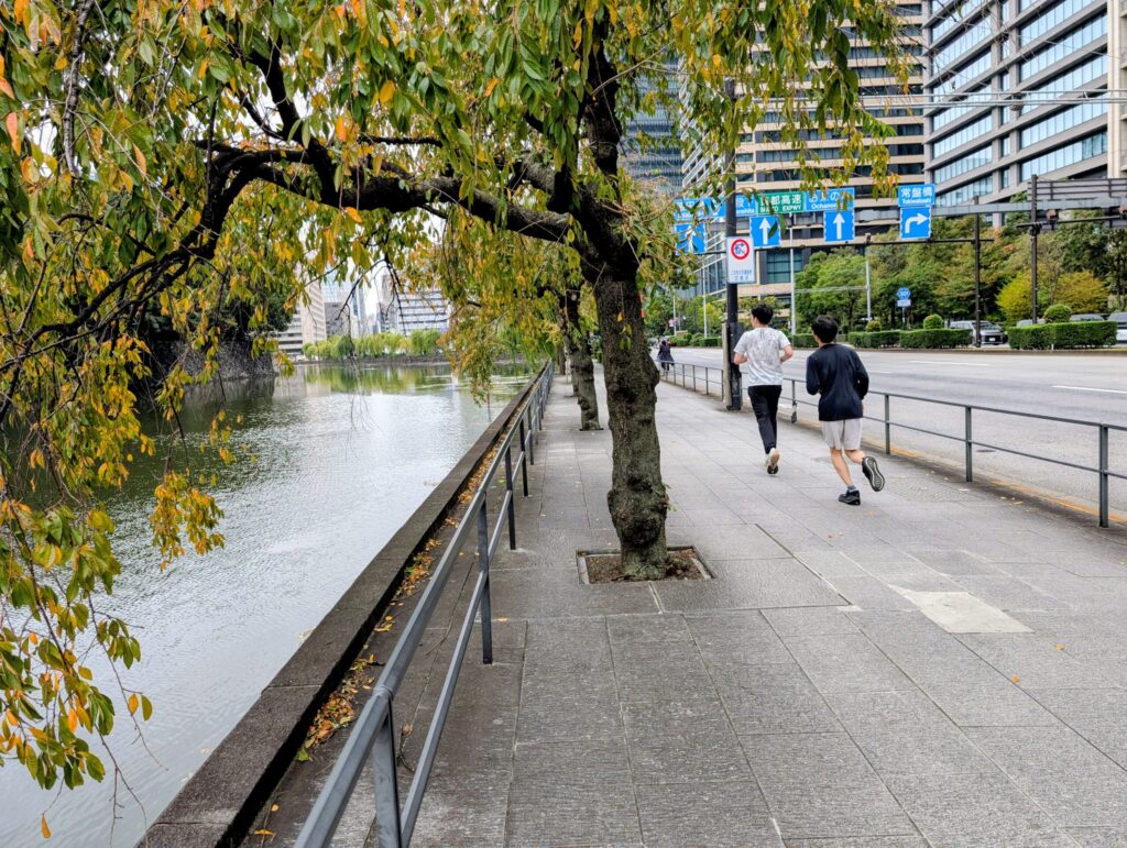 大手濠
内堀通り
皇居ランナー