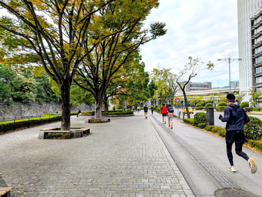 内堀通り
竹橋付近