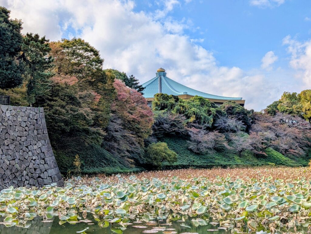 牛ヶ淵の向こうに見える日本武道館