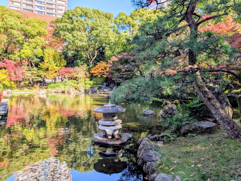 横浜公園の彼我庭園
池泉回遊式庭園