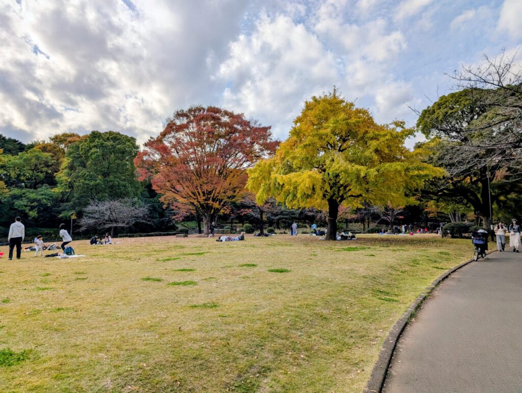 北の丸公園の芝生広場