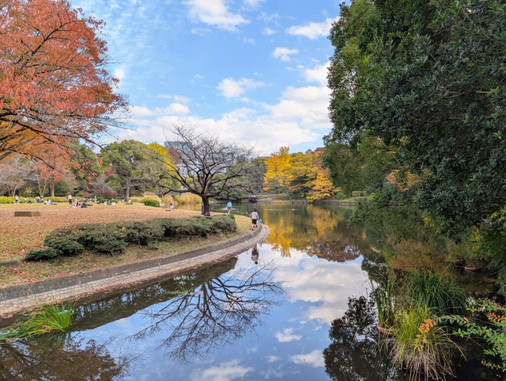 北の丸公園の池