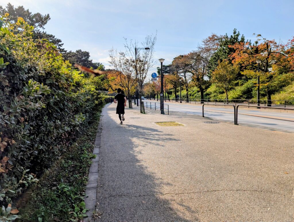代官町通り
千鳥ヶ淵