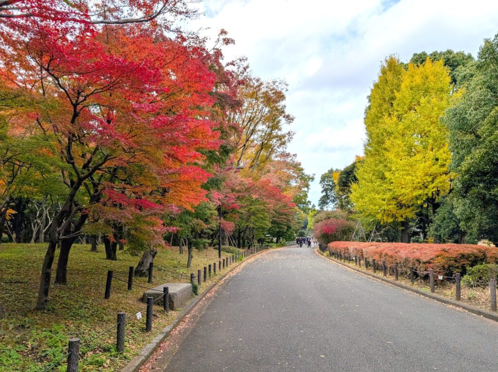 北の丸公園の紅葉