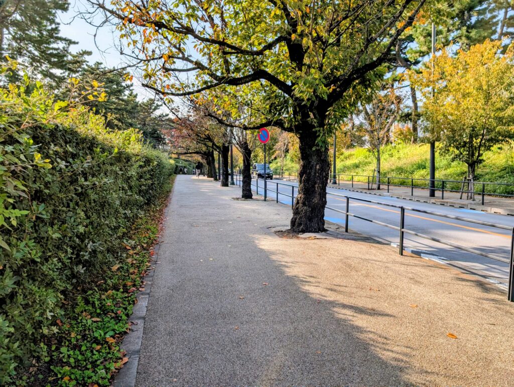 代官町通り
千鳥ヶ淵