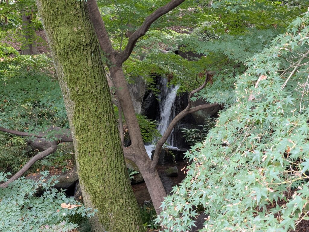 北の丸公園　滝見台