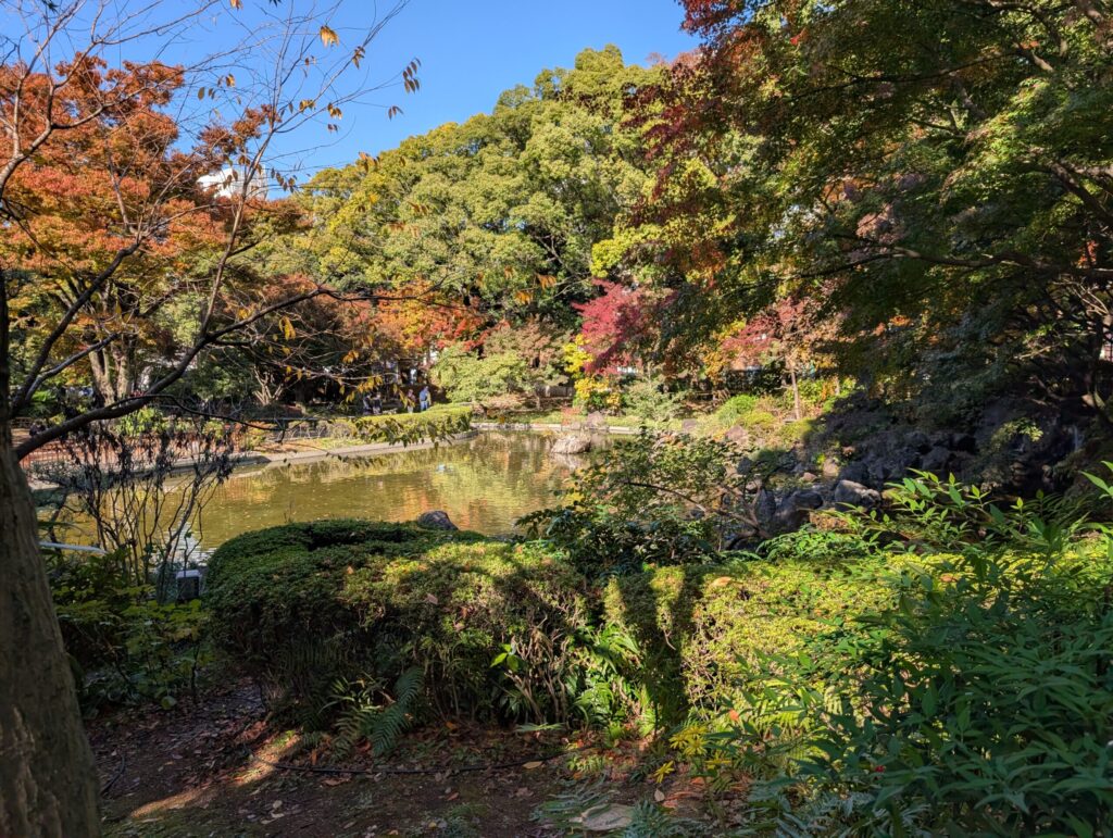 横浜公園の彼我庭園
池泉回遊式庭園