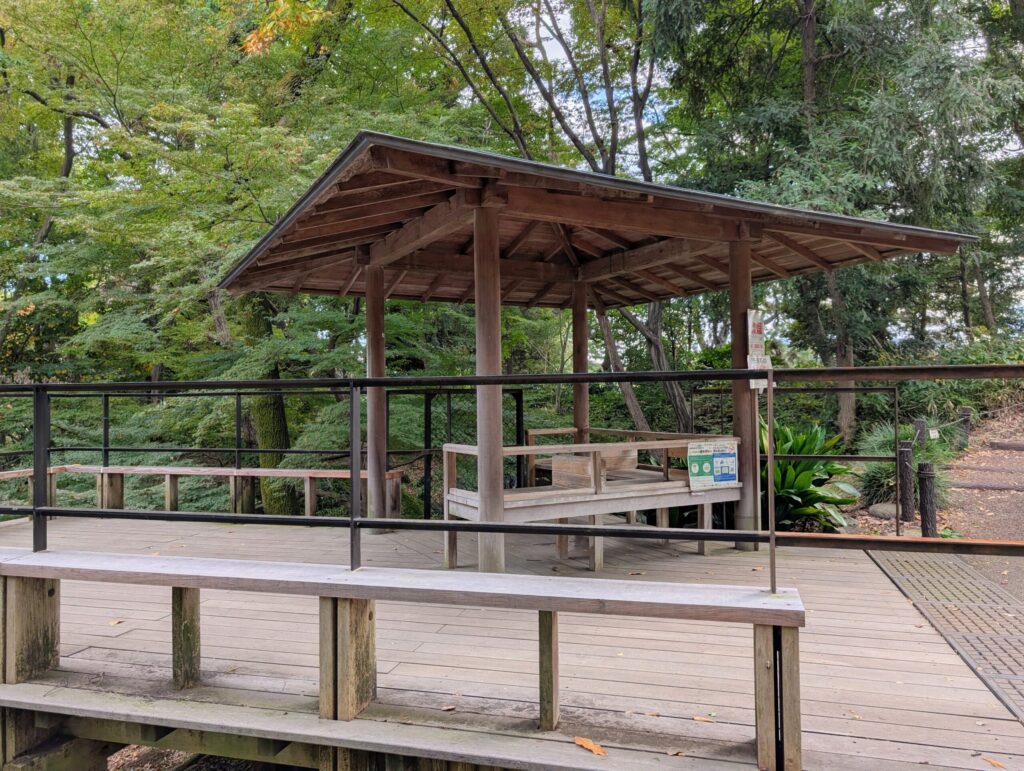 北の丸公園の滝見台