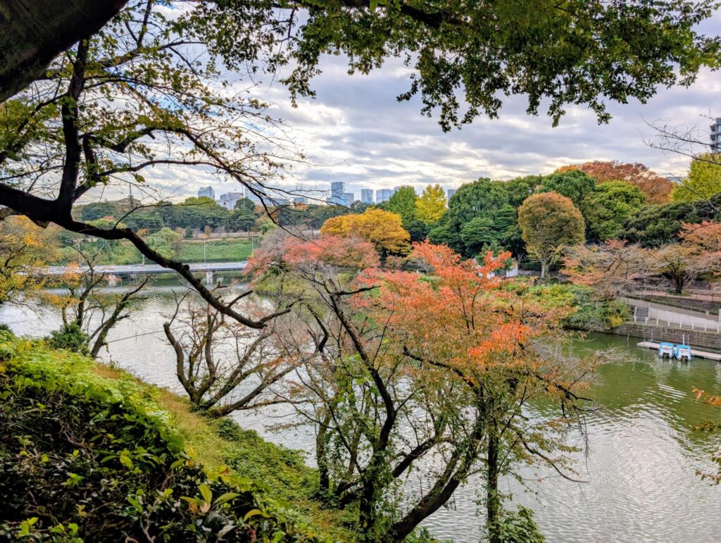 北の丸公園から千鳥ヶ淵の眺望