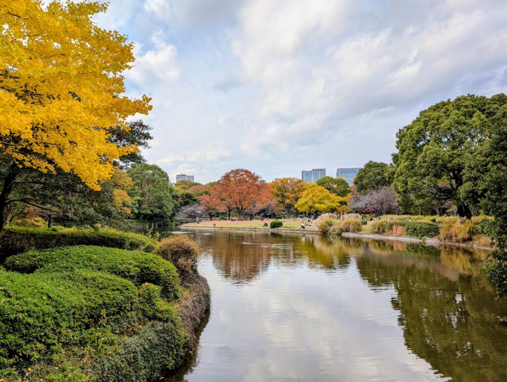 北の丸公園の池と芝生広場