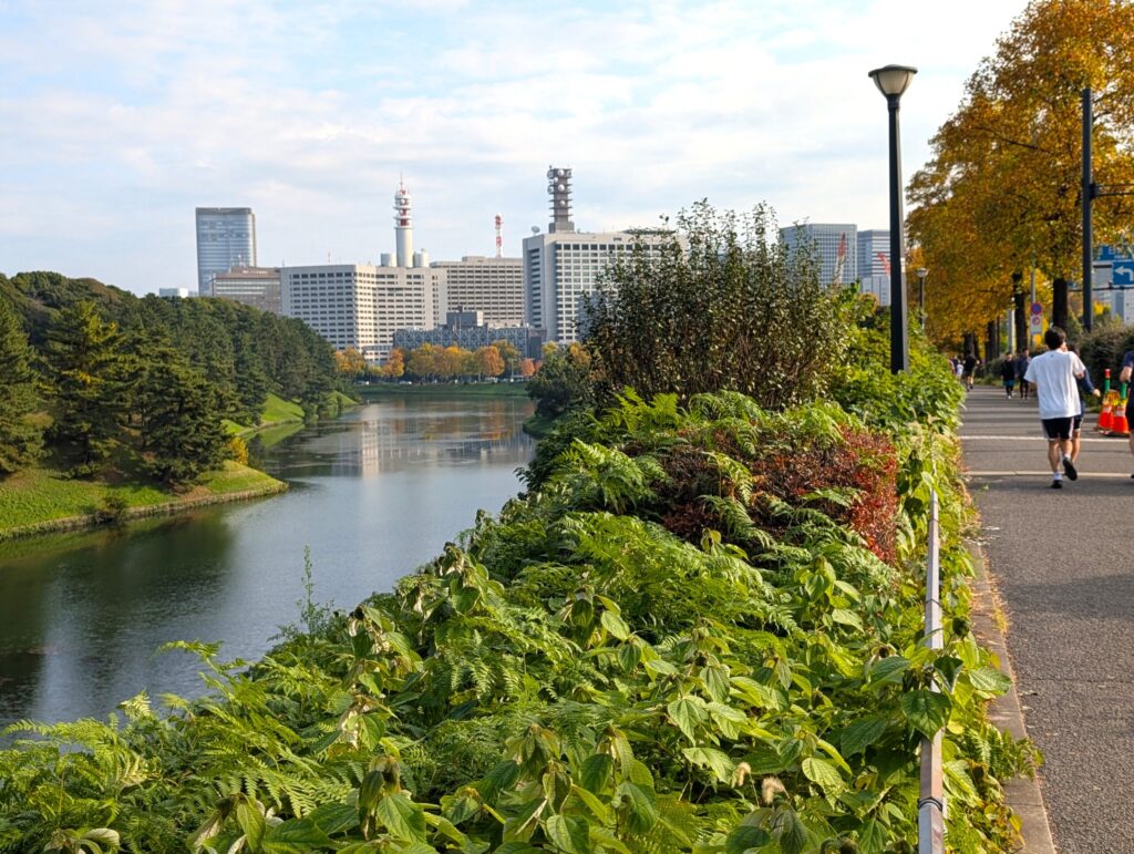 半蔵門から桜田門へ向けて緩やかな下り坂