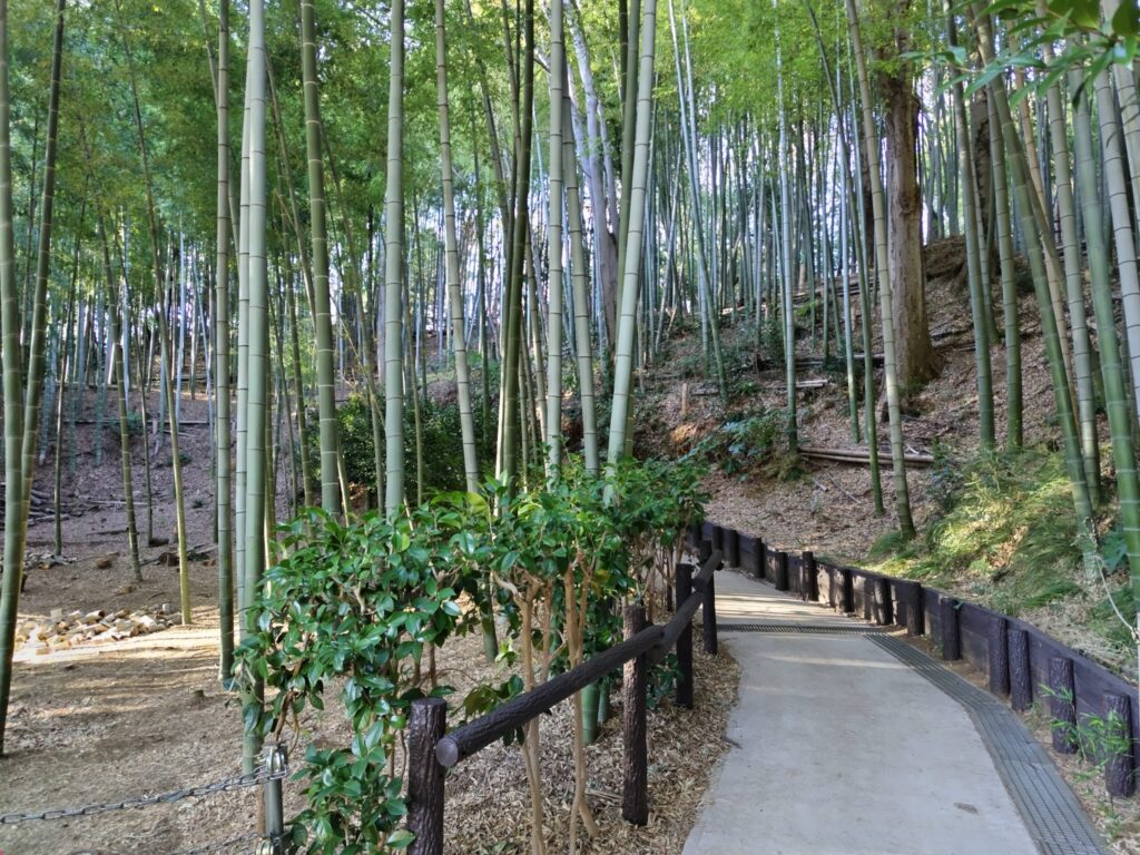 小机城址市民の森
竹林の散策路