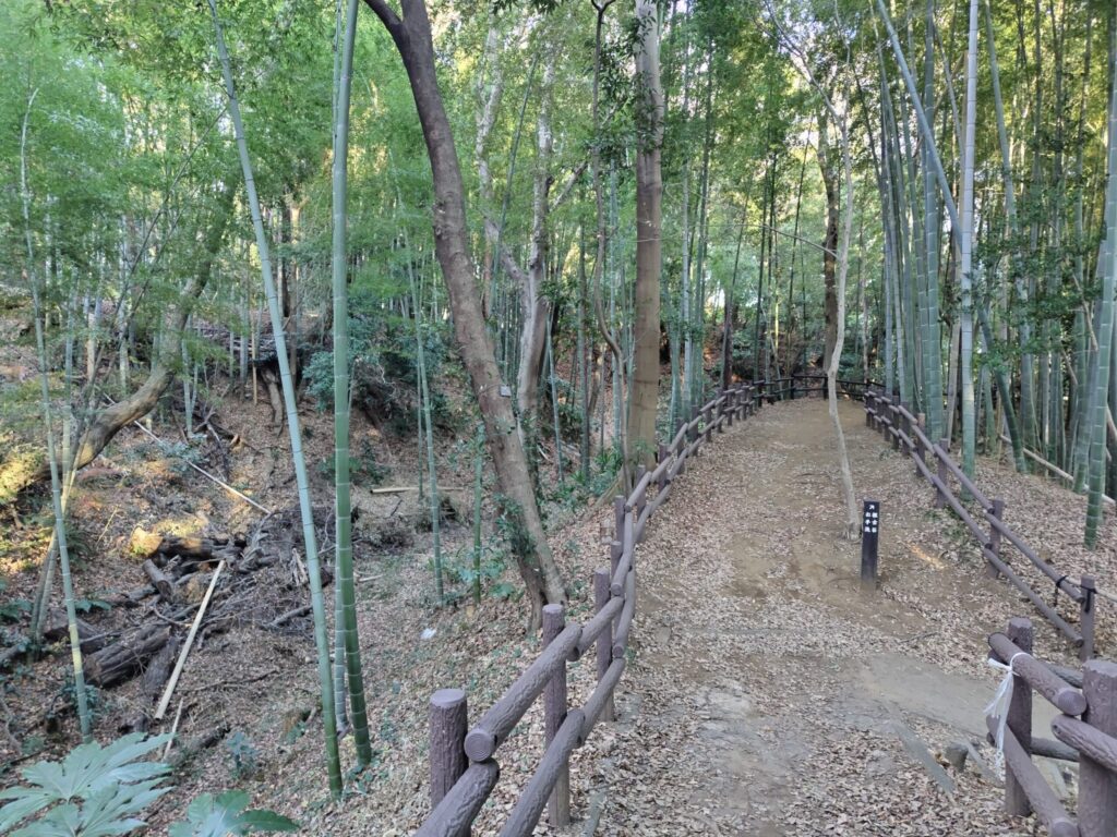 小机城址市民の森
竹林の散策路