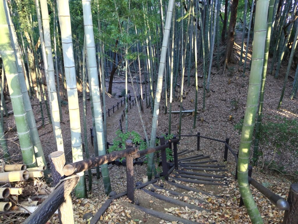 小机城址市民の森