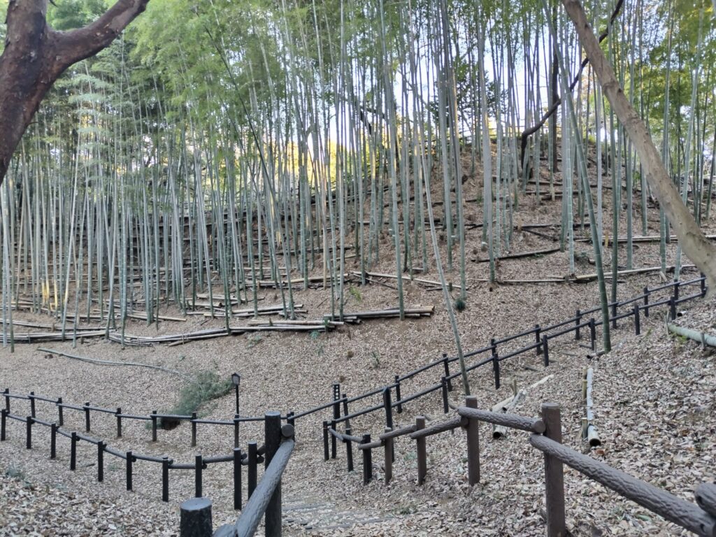 小机城址市民の森
竹林の中