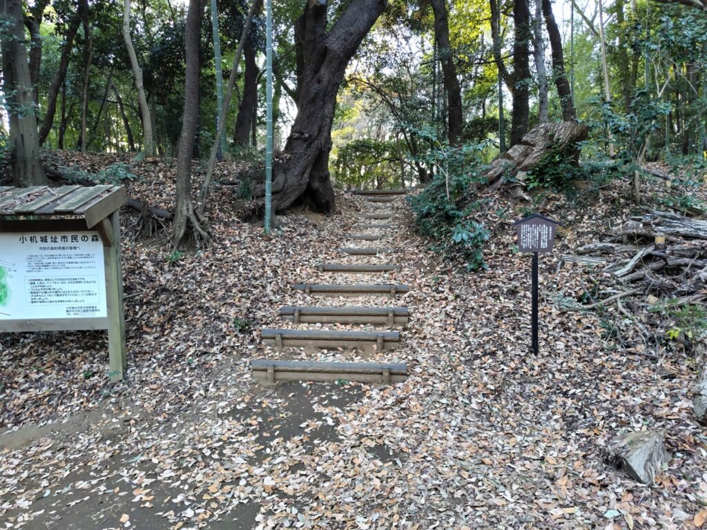 小机城址市民の森
土塁
