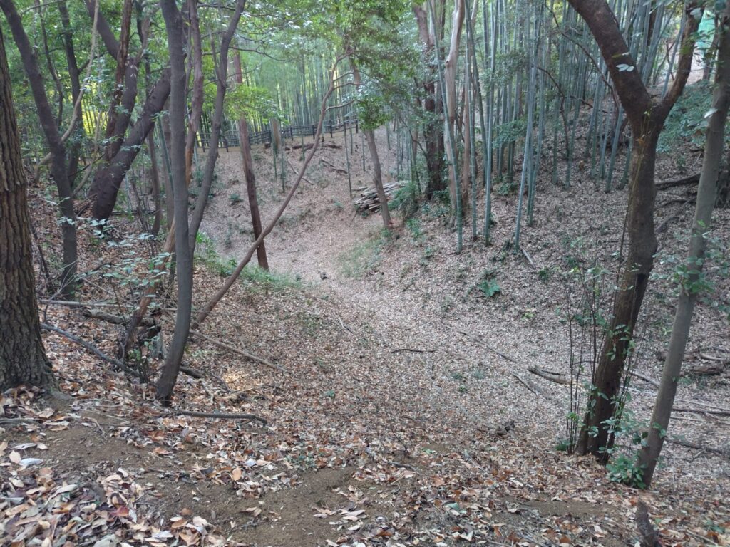小机城址市民の森
空堀